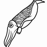 Cuttlefish Coloring Pages Printable For Free Download sketch template