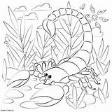 Scorpion Free Printable coloring Page sketch template