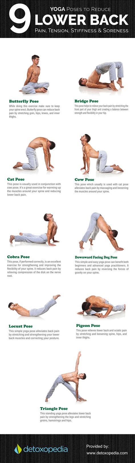 53 best Yoga for back pain images on Pinterest | Yoga poses, Yoga ...