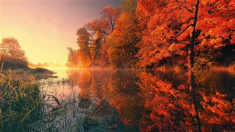 2048x1152 Trees Fall Reflection Autumn 4k Wallpaper,2048x1152 Resolution HD 4k Wallpapers,Images ...