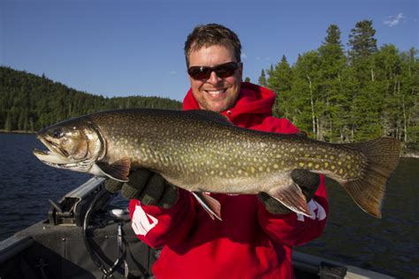 FARK.com: (12492302) My record-breaking Colorado Brook Trout, look at it