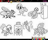Moscas Coloreadas Dibujos Para Colorear  Vector Premium sketch template