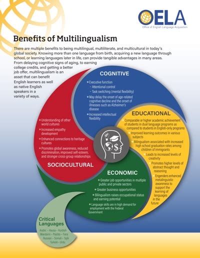 OELA's poster about bilingual benefits of multilingualism - Language and Culture Studies