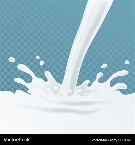 Milk splash and pouring on transparent background Vector Image