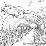 Aquarium Coloring Pages  Free & Printable sketch template