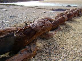 Rusty Chain Free Stock Photo - Public Domain Pictures