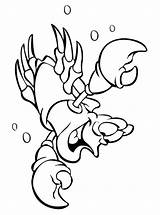 Krebs Kreeft Lobster Aragosta Langosta Colorat Malvorlage Desene  sketch template
