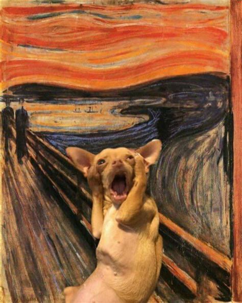 The screaming dog - 9GAG