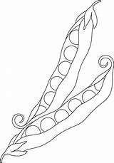 Peas Vegetable coloring page  Download Free sketch template
