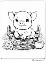 8 Easy Pig Coloring Pages For Kids  Free PDFs sketch template