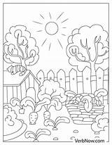 Free GARDEN Coloring Pages & Book For Download Printable PDF  VerbNow sketch template