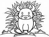 Cute Ox Coloring Page  Free Printable Pages For Kids sketch template