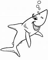 Smiled shark coloring Page For Preschoolers sketch template
