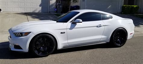 2016 Mustang GT Premium PP-White | SVTPerformance.com