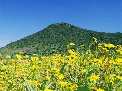 Araku Valley Pictures - Latest Araku Valley Travel Photos, HD Travel Images