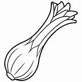 A coloring Page Of An Food leek With No color Just Black Lines Vector  sketch template