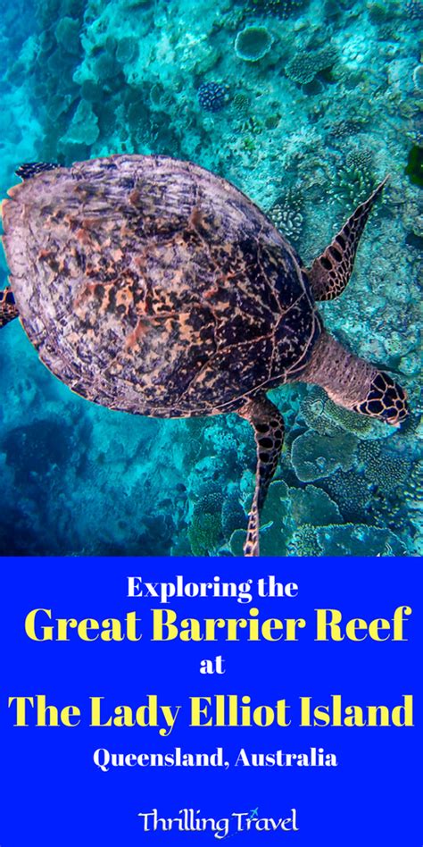 Exploring the Great Barrier Reef at Lady Elliot Island, Gold Coast - Thrilling Travel Explore ...