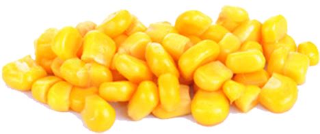 Corn Kernel Png Graphic - Corn Kernels Png - Free Transparent PNG Download - PNGkey