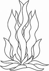 Seaweed Kelp Drawing Forest Coloring Cartoon Pages Template Easy  sketch template
