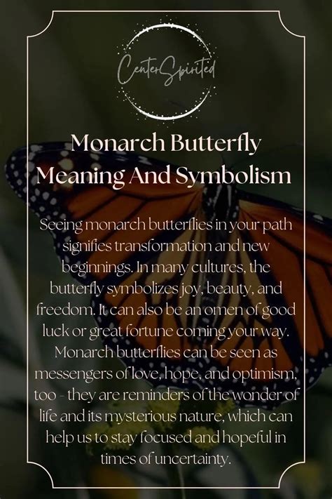 Monarch Butterfly Meaning And Symbolism of Seeing One