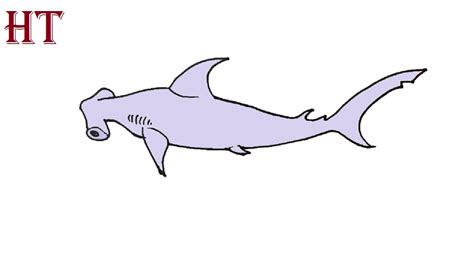 How to draw a Hammerhead shark Step by Step - YouTube