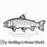Trout Coloring Pages  Free & Printable sketch template