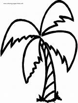 Palm tree color page sketch template