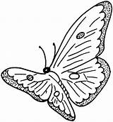 Butterfly 1 Coloring Page  Free Printable Pages For Kids sketch template