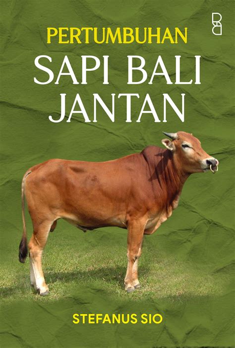 Pertumbuhan Sapi Bali Jantan 📗 Literatur.id