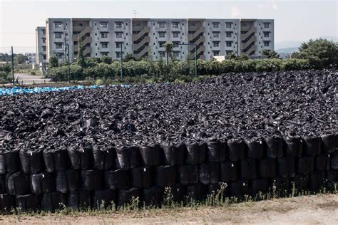 Stunning Photos Of The Abandoned Fukushima Exclusion Zone Turning Into Wilderness