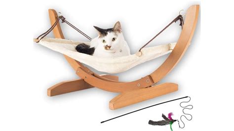 Best cat hammocks 2024: Let your feline hang out in style | PetsRadar