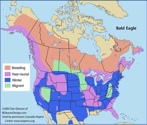 Range map for the Bald eagle | Bald eagle, Animal facts, Eagle facts