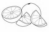 Grapefruit coloring pages  Free Coloring Pages sketch template