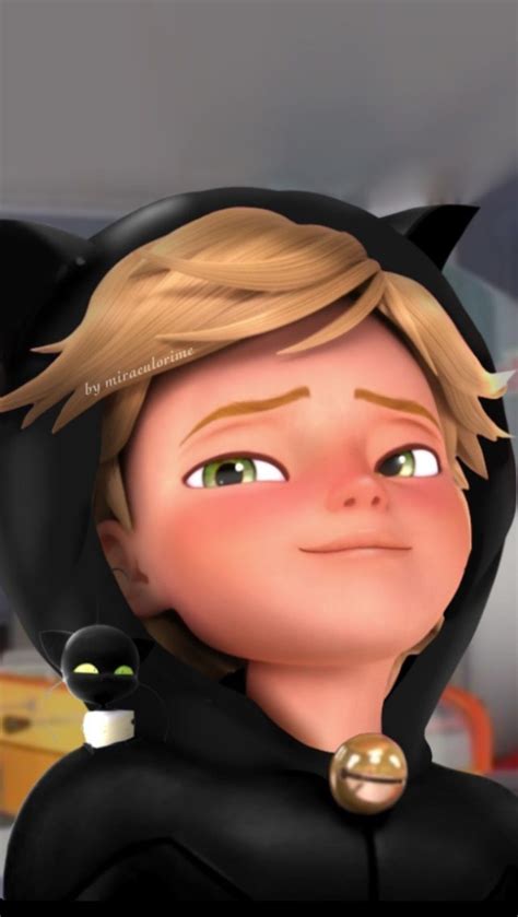 Miraculous Cat Noir, Anime Miraculous Ladybug, Adrien Miraculous ...