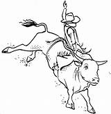 Free Printable Bull Riding Coloring Pages Chalege sketch template