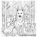 Wolf Coloring Pages  Free & Printable sketch template
