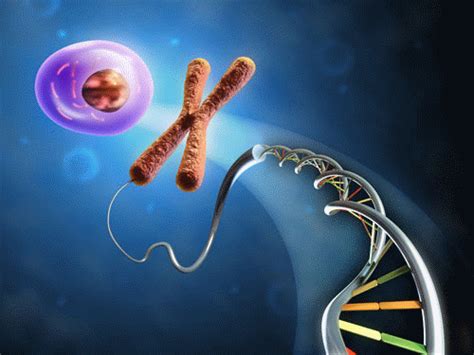 Molecular Genetics