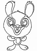 40  Zoobles Coloring Pages Free Printable PDF JPG PNG & Online sketch template
