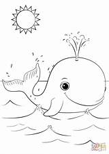 Cute Cartoon Whale coloring page  Free Printable Coloring Pages sketch template