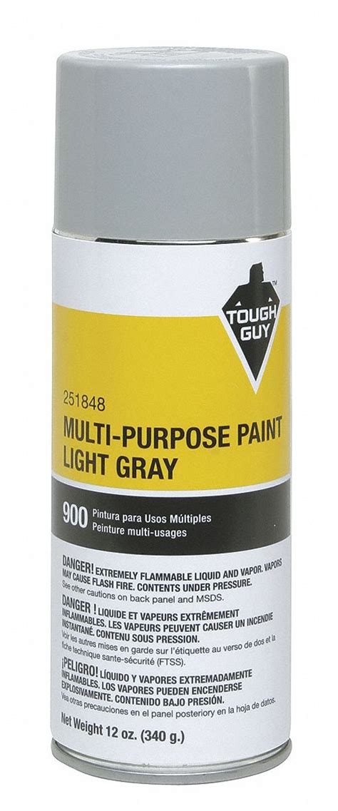 TOUGH GUY Spray Paint in Gloss Light Gray for Masonry, Metal, Wood, 12 oz - 4WGD6|251848 - Grainger