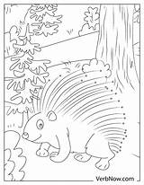 Porcupine Mask Coloring Page sketch template