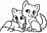 Baby Wolf Coloring Pages At Viikelseyblog Blog sketch template