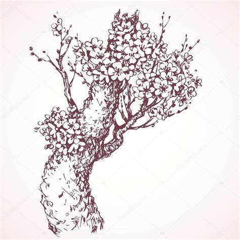 Spring Tree Drawing at GetDrawings | Free download