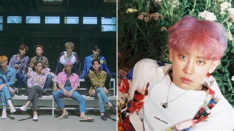 11 Beauty Moments in EXO's "Ko Ko Bop" Music Video We're Living For ...