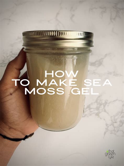 How To Make Sea Moss Gel | No Heat Required | Recipe | Irish moss recipes, Sea moss, Moss