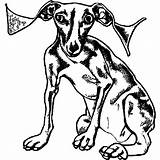 Italian Greyhound Coloring Page · Creative Fabrica sketch template
