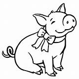 Baby Pig 5 sketch template