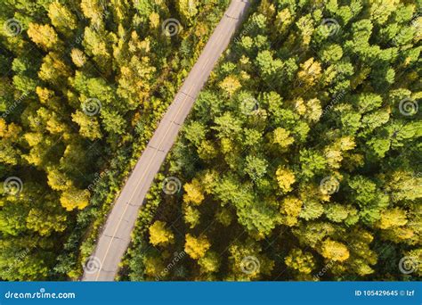 Aerial Shot of Trail in Forest Stock Image - Image of greenery, growth ...