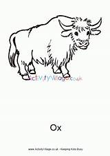 Ox Coloring Page For Kids sketch template