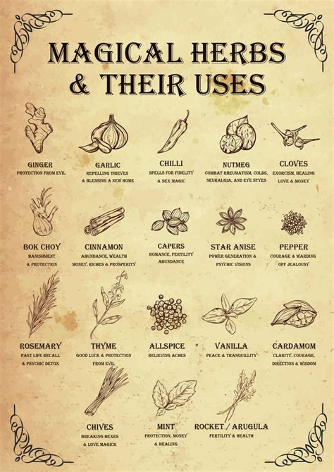 Magical Herbs and their uses witchy poster, witchcraft, kitchen witch, magic, magick | Magical ...